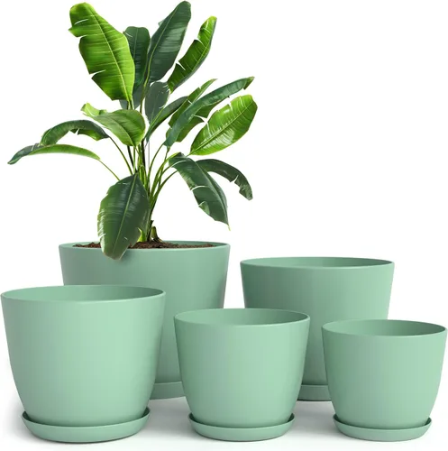 Miniatura 12 de Utopia Home - Macetas de Interior con Drenaje - Macetas de Flores de 7/6.6/6/5.3/4.8 Pulgadas para Plantas de Interior - Juego de 5 Macetas