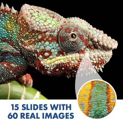 Miniatura 7 de Educational Insights GeoSafari Jr. Kidscope, Microscopio para niños, juguete STEM, relleno para cesta de Pascua para niños, regalo para niños