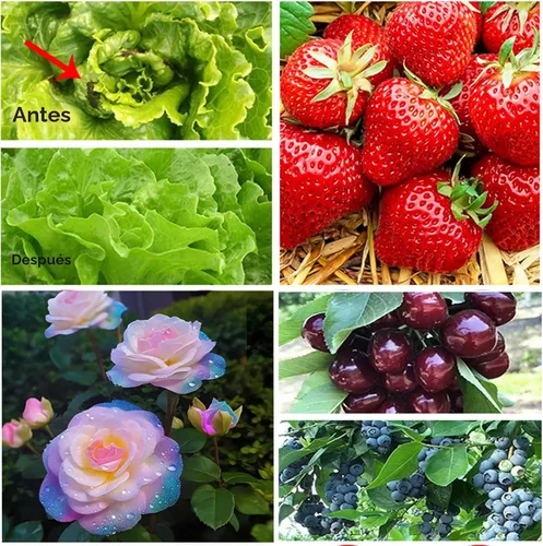 Miniatura 6 de Red para jardín, 2 paquetes de 3,1x10,1 m de malla ultrafina, barrera de plagas, protección contra pájaros y mosquitos, red para plantas, cubierta
