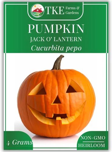 TKE Farms & Gardens - Jack O' Lantern Semillas de calabaza para plantar, 0.14 onzas, 25 semillas de reliquia, sin OMG, el paquete incluye