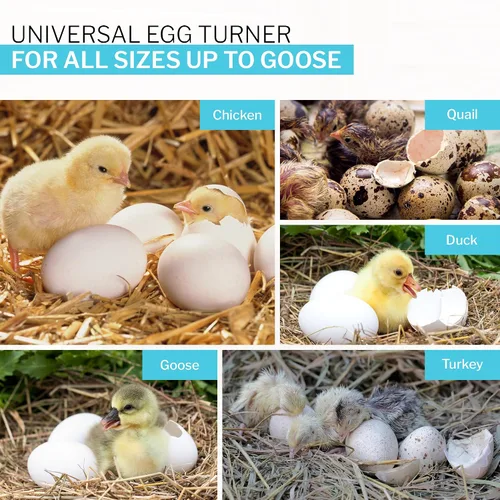 Miniatura 8 de IncuView 3 Pro Incubadora automática todo en uno para huevos de gallina (universal) Huevos para incubar Girador automático de huevos Pollo