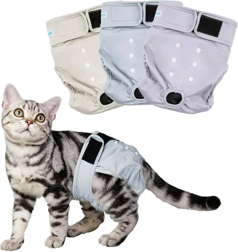 Paw Legend Pañales para gatos hembras, lavables, reutilizables, pañales para gatos para incontinencia, pañales para mascotas (paquete de 3, XS)