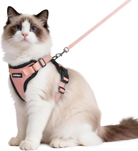 Miniatura 49 de rabbitgoo Juego de arnés y correa para gatos, arnés a prueba de escapes para paseos seguros al aire libre, chaleco suave transpirable ajustable