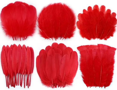 Miniatura 9 de Larryhot White Craft Feathers - 240 plumas naturales mixtas de 6 estilos para bodas, fiestas en casa, suministros de atrapasueños y manualidades