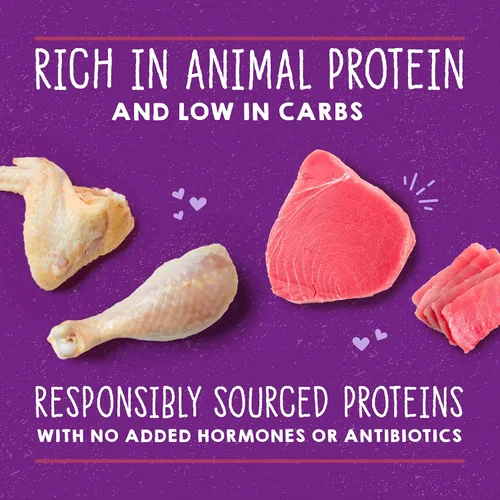 Miniatura 4 de Stella & Chewy's Carnivore Cravings Purrfect Paté - Alimento húmedo prémium sin granos para gatos, receta de pollo y atún, alto en proteínas