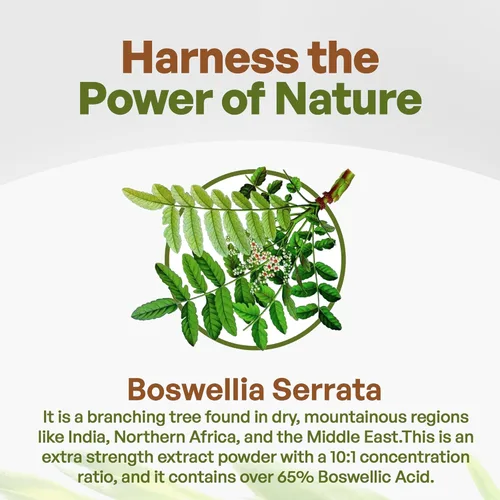 Miniatura 3 de Go Nutra Boswellia Serrata Extracto en polvo 10:1 Fuerza 65% ácido boswélico suplemento de incienso apoyo articular – 8 onzas