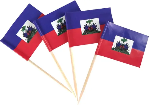 Miniatura 10 de JBCD Bandera afroamericana con palillo de dientes panafricano, mini banderas negras de liberación para cupcakes, 200