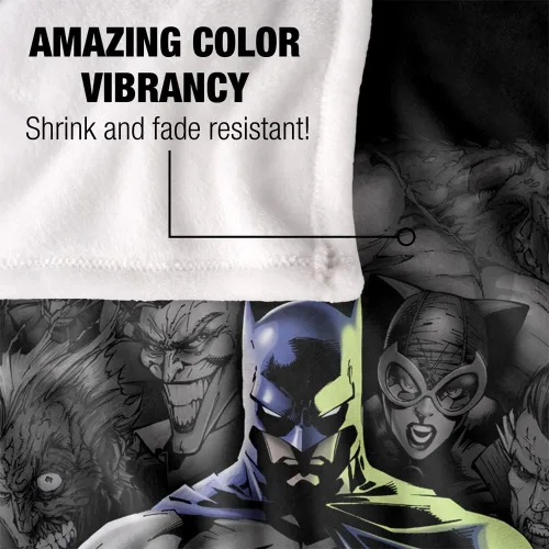Miniatura 4 de Batman Villains Unleashed Silky Touch - Manta súper suave de 36 x 58 pulgadas, Villains Unleashed