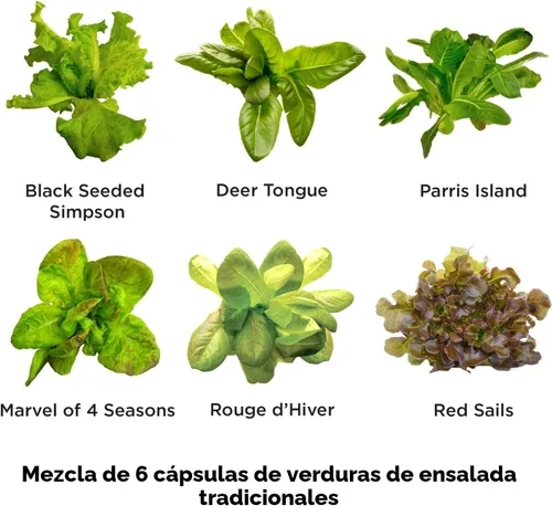 Miniatura 2 de Miracle-Gro AeroGarden - Kit de semilla autóctonas en vainas de ensalada