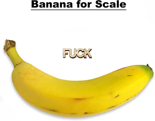 Miniatura 4 de Give a Fuck - FUCK wooden cutouts - Make your own 12oz Jar of Fucks! 170 per pack - (Explanation Card Included)