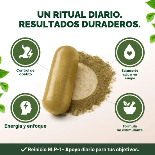 Miniatura 8 de Serene Herbs Suplemento GLP-1 para Mujeres y Hombres - Reinicio Metabólico, Apoyo para el Hambre con Berberina, InnoSlim, Actiponin - Potenciador