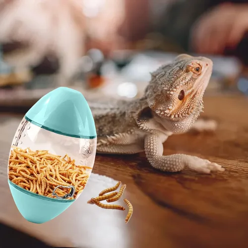 Miniatura 6 de ALI2 Juguete de comedero de lagarto con forma de rugby interactivo para reptil de dragón barbudo, lagarto, gecko y animales pequeños Verde