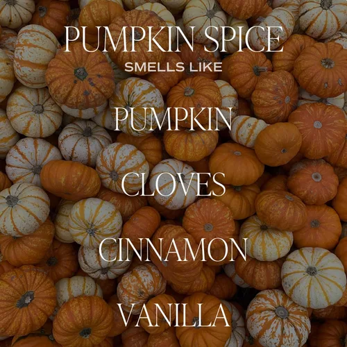 Miniatura 2 de Sweet Water Decor Juego de difusor de varillas de Pumpkin Spice, clavo, canela y vainilla, difusores de aroma para el hogar, fragancia de larga