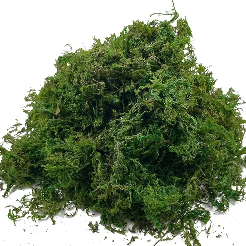 Musgo de bosque seco artificial, musgo verde preservado para plantas en maceta, mezcla de orquídeas, esfagno, turba y musgo, manualidades,