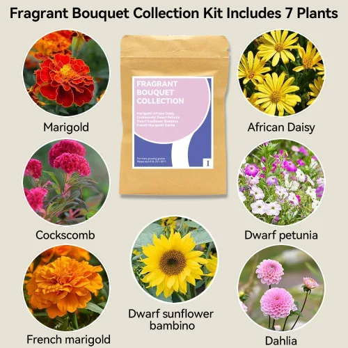 Miniatura 2 de Kit de vaina de semillas con fragancia Inbloom para AeroGarden, iDoo, Ahopegarden, GARDENCUBE, 12 vainas