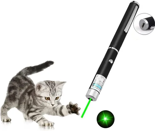 Juguetes para gatos, juguetes interactivos recargables por USB, para mascotas, con controles remotos verdes, para enseñanza interactiva en el aula