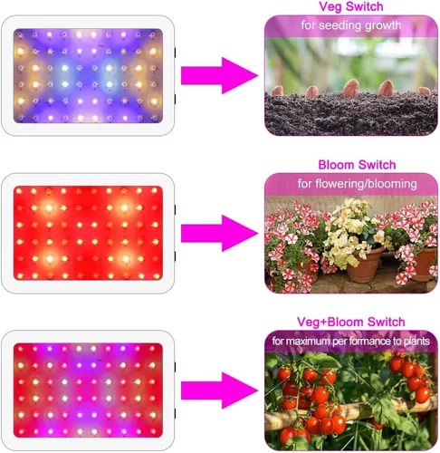 Miniatura 4 de NAILGIRLS Luz LED de crecimiento, lámpara de cultivo de 600 W para plantas de interior de espectro completo con higrómetro de temperatura de cadena