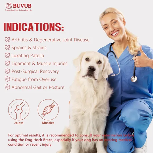 Miniatura 4 de Soporte de hockey para perro para pierna trasera, tiras de resorte de metal integradas para esguinces, artritis, lesiones de ligamentos