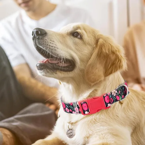 Miniatura 2 de Collar para Perras con Flores Rojas, Collar Lindo para Perras con Hebilla de Liberación Rápida y Collar Cómodo Ajustable para Mascotas para Perros
