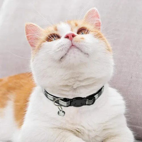 Miniatura 6 de Collar de gato MJIYA con campana, collar de cuadrícula separable con hebilla de plástico, ligero ajustable, de nailon, collares de gatito