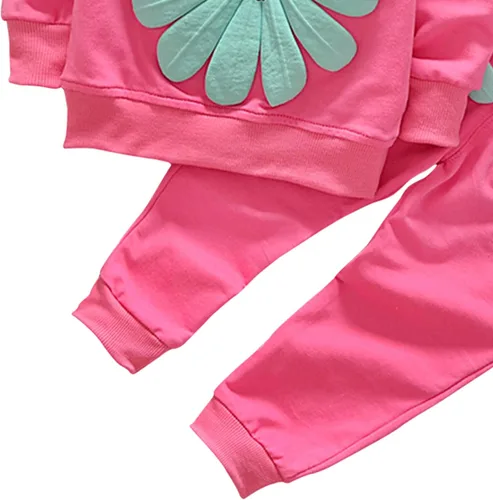 Miniatura 23 de Conjunto de ropa de girasol para niñas pequeñas, camiseta de manga larga y pantalones, 2 piezas, ropa de otoño
