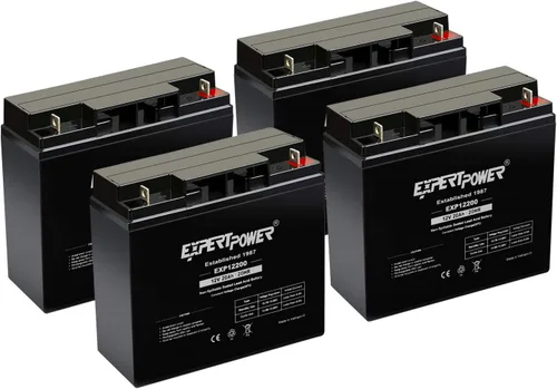 ExpertPower EXP12200 - Paquete de 4 baterías recargables SLA de 12 V 20 Ah para montar en juguetes, UPS, cortacésped, generador, dispositivos