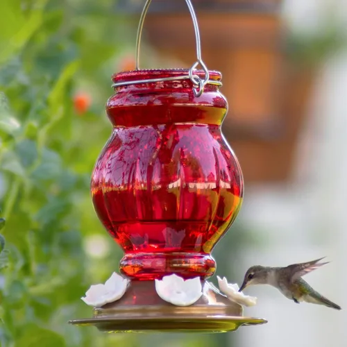 Miniatura 7 de Nature's Way Comedero colgante de vidrio para colibríes para decoración al aire libre, alimentador de néctar de capacidad de 25 onzas, 5 puertos