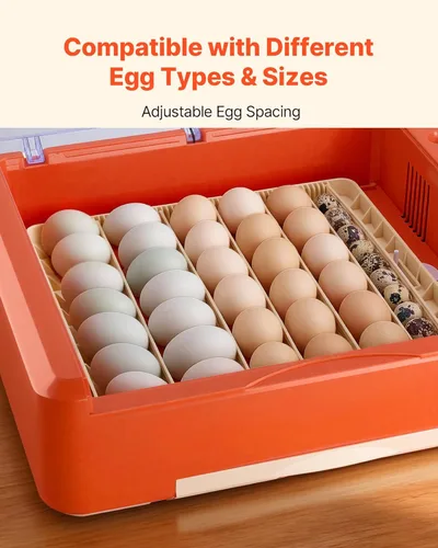 Miniatura 6 de VEVOR Incubadora de 36 huevos, incubadora automática con volteador de huevos y candelero LED y bandeja de agua, control de temperatura y humedad