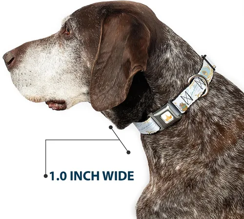Miniatura 6 de Collar de perro con hebilla de cinturón de seguridad Cenicienta Calabaza Entrenador y ratones Pose con Script Blues 9.5 a 13 pulgadas 1.0 pulgadas