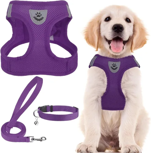 Miniatura 47 de PUPTECK - Arnés, collar y correa ajustables, sin tirones, para perros pequeños y medianos, cachorros y gatos, pechera reflectante acolchada de malla