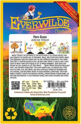 Miniatura 2 de Everwilde Farms - 2000 semillas de césped nativo Path Rush - Paquete de semillas Gold Vault