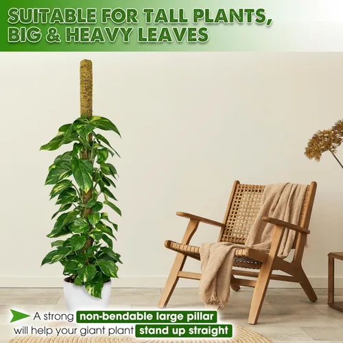 Miniatura 3 de DUSPRO Poste no doblable de 59 pulgadas para plantas trepadoras grandes, poste de musgo grande para Monstera, estacas para plantas