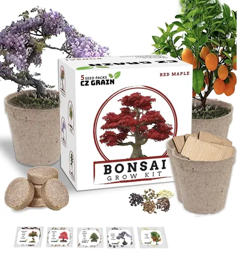 Kit de árbol bonsái – Cultiva 5 especies de árbol bonsái con nuestro kit de plantas todo en uno: macetas de bonsái y pellets de turba, incluyendo un