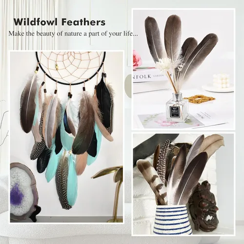 Miniatura 6 de iHUFeather 120 plumas de faisán naturales a granel, 10 estilos de plumas mixtas para manualidades, manualidades, sombreros, arreglos florales, boda