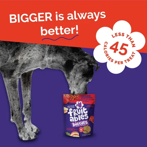 Miniatura 6 de Fruitables Biggies - Galletas para perros, golosinas saludables para perros, galletas de calabaza para perros, golosinas crujientes, hechas sin