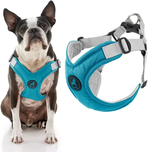 Miniatura 7 de Gooby Arnés de espuma viscoelástica para perros pequeños, sin tirones, con marco en X patentado sin estrangulamiento, perfecto para perros medianos