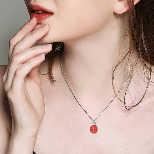 Miniatura 4 de Collar con medallón de mariquita que sostiene fotos de plata de ley 925 collar de mariquita regalo de joyería para mujeres y madres cumpleaños