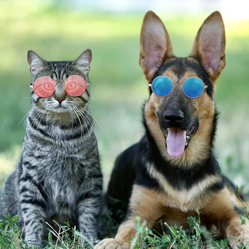 Miniatura 6 de Weewooday 15 lentes de sol para perros y gatos, lentes de sol retro para mascotas pequeñas, redondas, de metal, para cachorros, divertidas, cosplay