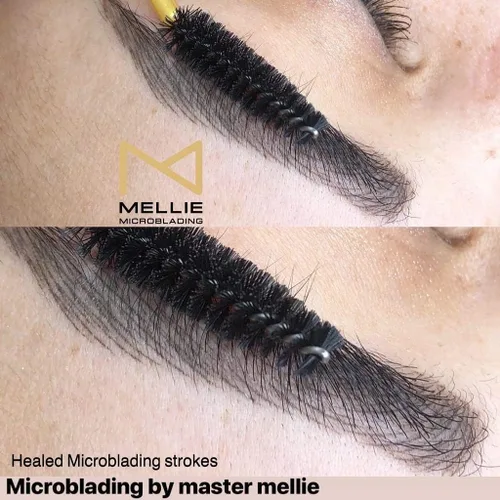 Miniatura 5 de M Ellie Microblading Pigmento – Marrón medio 0.3 fl oz/0.35 fl oz Grado médico Sin mezcla Larga duración para profesionales suministros