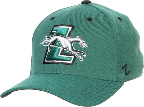 Miniatura 54 de ZHATS - Sombrero ajustado elástico para hombre de la NCAA, color del