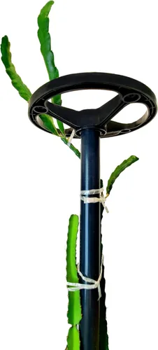 Dragon Fruit Trellis - Soporte para plantas de torre de enrejado de 60 pulgadas de altura y 12 pulgadas de diámetro de corona, grado comercial (gris
