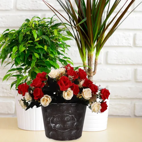Miniatura 8 de Abaodam Maceta colgante de pared de hierro rústico con cuerda duradera para interiores y exteriores, jardín, patio, decoración del hogar, 7.08 x
