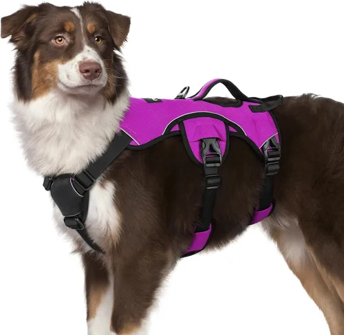 Miniatura 22 de rabbitgoo - Arnés para perro a prueba de fugas, arnés para mascotas acolchado suave de cuerpo completo, chaleco reflectante ajustable sin tirones