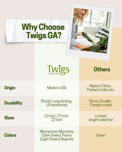 Miniatura 3 de Twigs GA - Estacas de soporte para plantas para uso en interiores y exteriores, alternativa duradera de enrejado para plantas trepadoras