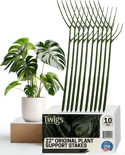 Miniatura 8 de Twigs GA - Estacas de soporte para plantas para uso en interiores y exteriores, alternativa duradera de enrejado para plantas trepadoras