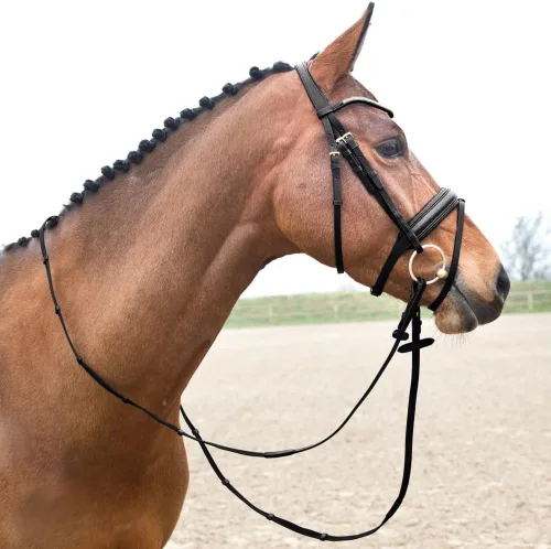 Miniatura 2 de HORZE Lester Dressage Snaffle Bridle w/Riendas