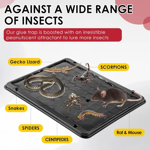 Miniatura 3 de Qualirey - Paquete de 8 trampas grandes de pegamento para ratas y ratones, 11.8 X 9.84 pulgadas, trampas grandes y resistentes para ratones