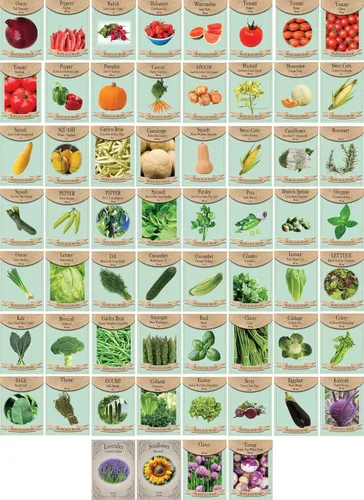 Miniatura 6 de Juego de 20 semillas de verduras favoritas de primera calidad para el año actual, ideal para jardinería 20 semillas de verduras de lujo