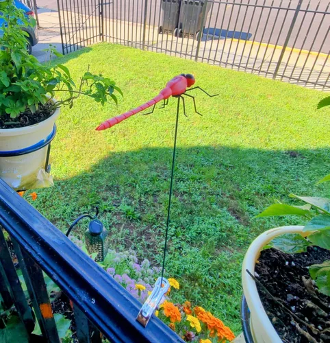 Miniatura 4 de 8 Pack Dragonfly Clips, 3D Simulation Fake Dragonflies Decoration for Garden Stakes, Yard Ornaments, Hat, Deer, Horse, Indoor and Outdoor