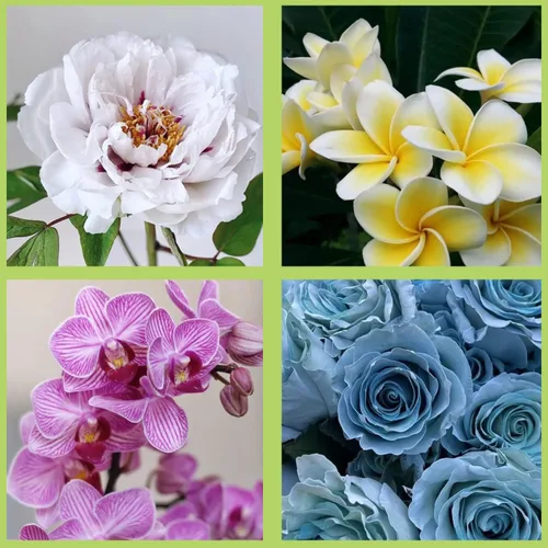 Miniatura 6 de ZiXiang Molde de silicona para veteado de flores de goma para fondant, moldes de pasta de goma, molde de flores de peonía, moldes de orquídea